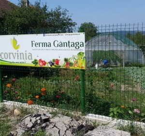 Semnalizare ferme